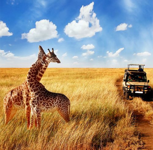 تور آفریقای جنوبی