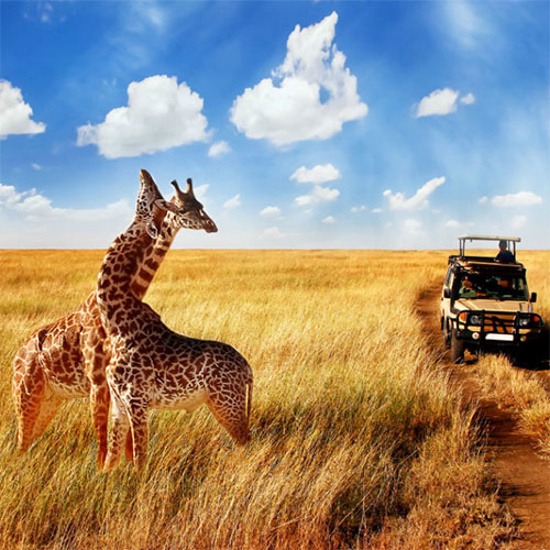 تور آفریقای جنوبی