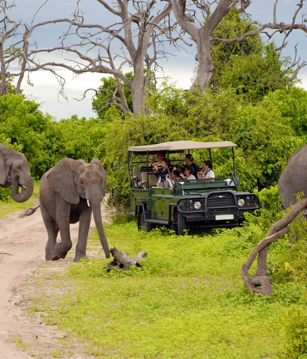 تور آفریقای جنوبی نوروز 1405