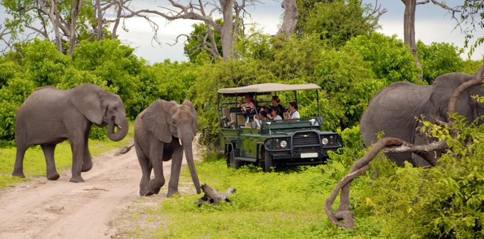 تور آفریقای جنوبی نوروز 1405