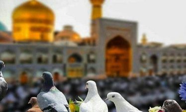 تور مشهد هوایی از اصفهان