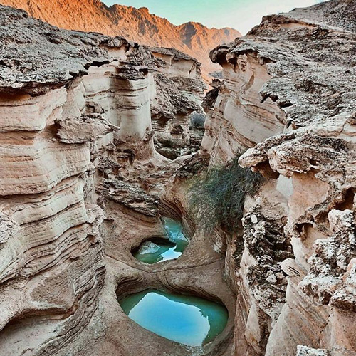 تور قشم