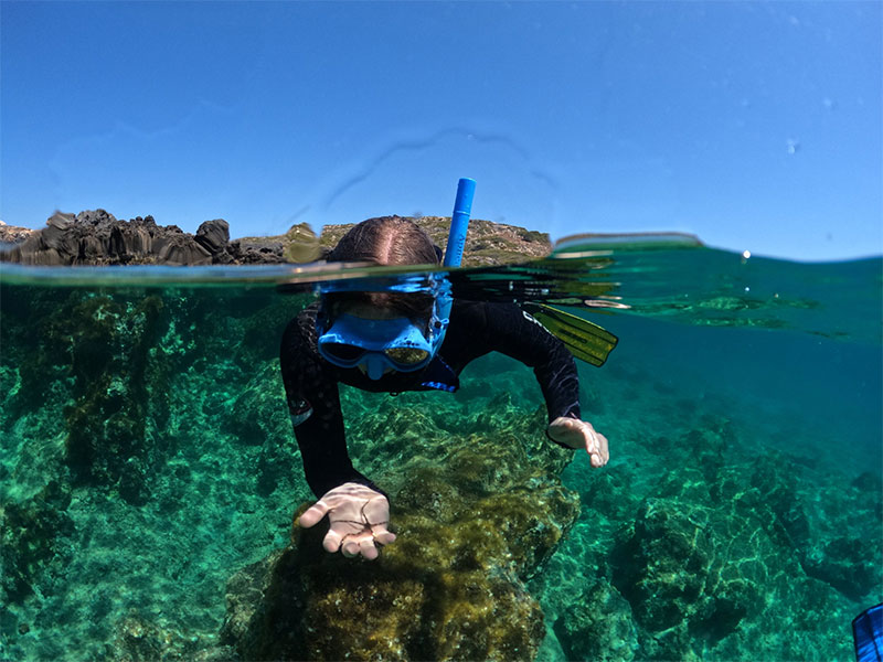 Snorkeling-in-oman