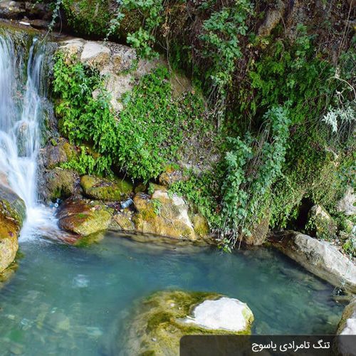 تورهای طبیعت گردی ویژه آخر هفته