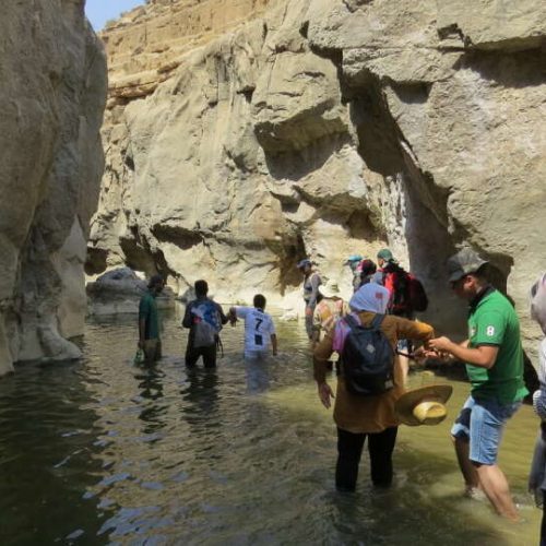 تور بی بی سیدان (آب بازی)