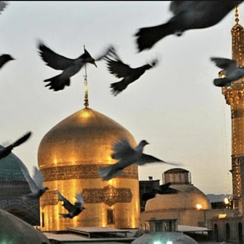 تور مشهد هوایی ویژه ولادت پبامبر اکرم